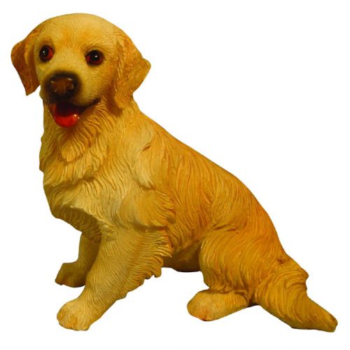 Dog Sitting Golden Retriever